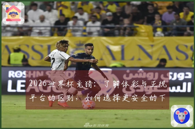 2026世界杯竞猜：了解体彩与正规平台的区别，如何选择更安全的下注方式