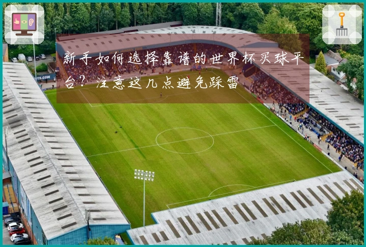 新手如何选择靠谱的世界杯买球平台？注意这几点避免踩雷