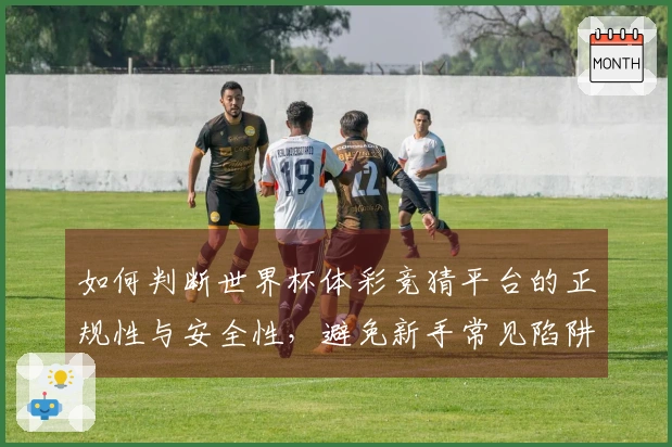 如何判断世界杯体彩竞猜平台的正规性与安全性，避免新手常见陷阱