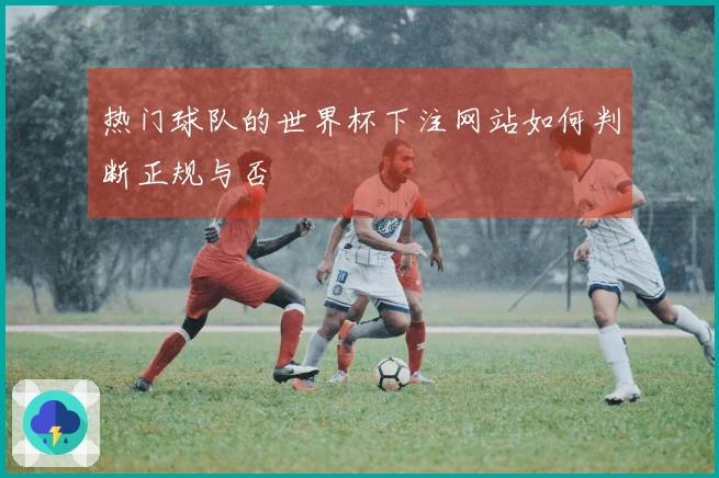 热门球队的世界杯下注网站如何判断正规与否