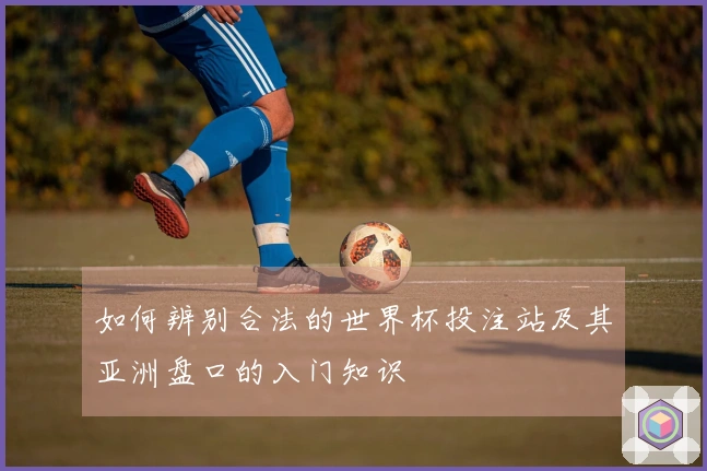 如何辨别合法的世界杯投注站及其亚洲盘口的入门知识
