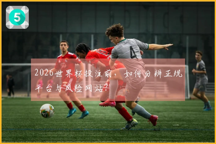 2026世界杯投注前，如何分辨正规平台与风险网站？