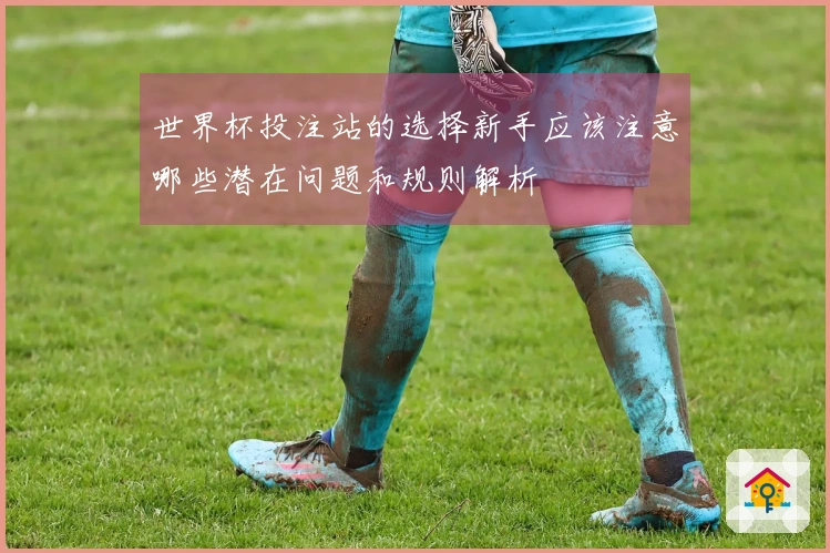 世界杯投注站的选择新手应该注意哪些潜在问题和规则解析