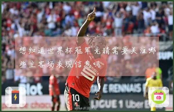想知道世界杯冠军竞猜需要关注哪些主客场表现信息吗