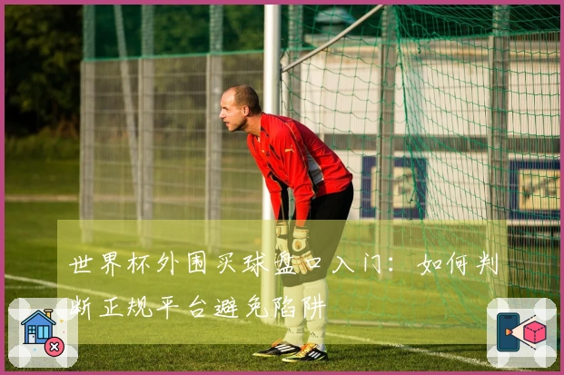 世界杯外围买球盘口入门：如何判断正规平台避免陷阱