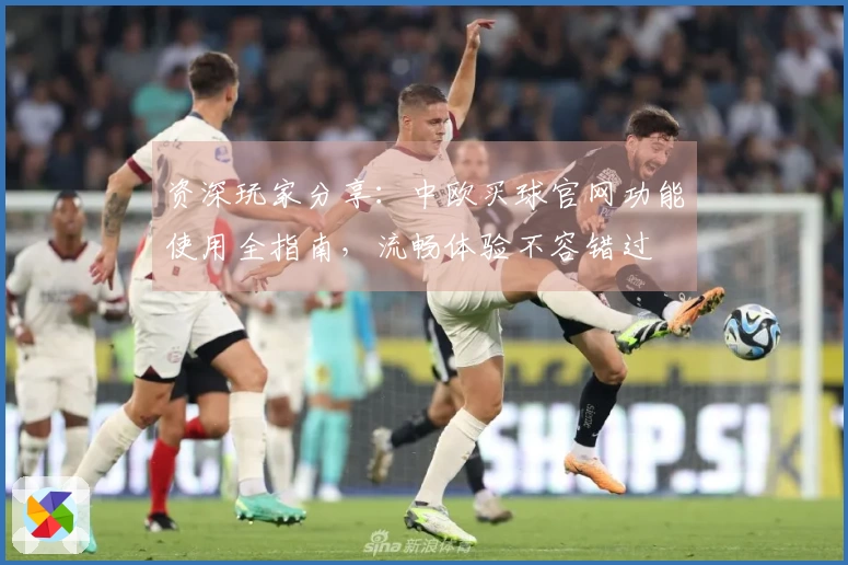 资深玩家分享：中欧买球官网功能使用全指南，流畅体验不容错过