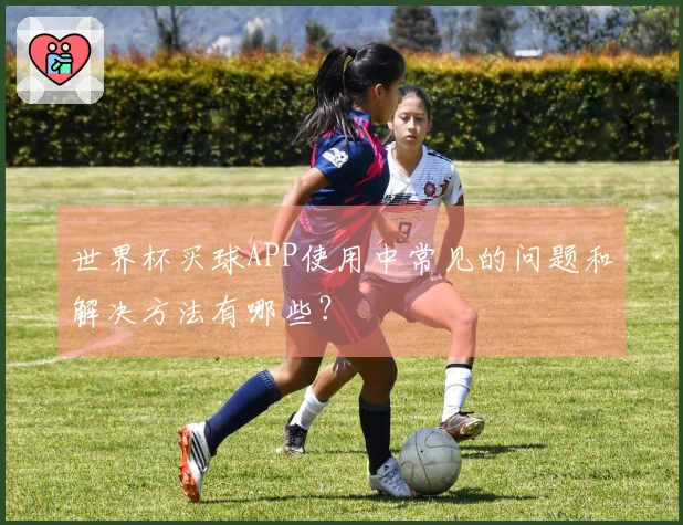 世界杯买球APP使用中常见的问题和解决方法有哪些？