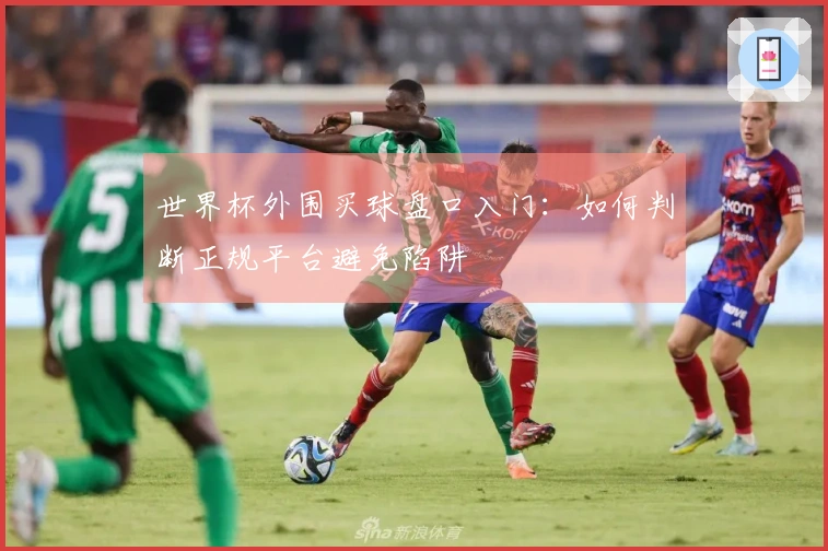 世界杯外围买球盘口入门：如何判断正规平台避免陷阱