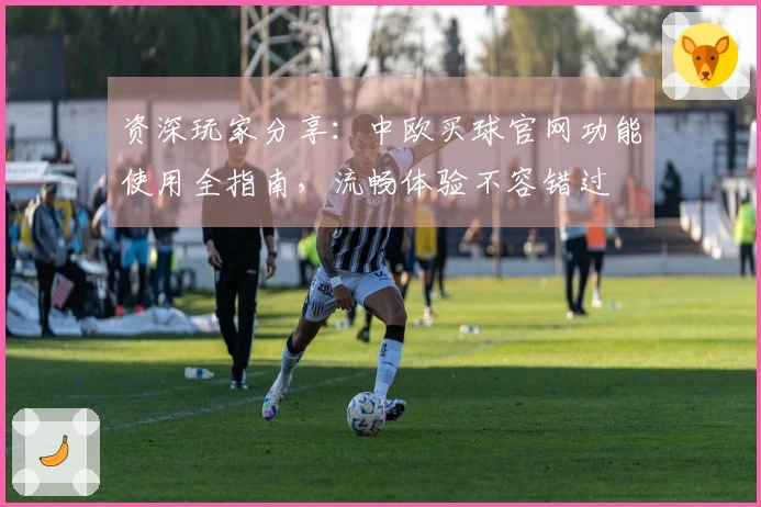 资深玩家分享：中欧买球官网功能使用全指南，流畅体验不容错过