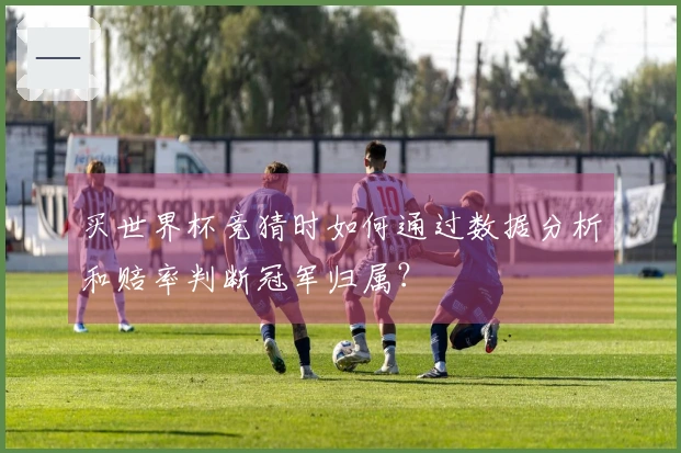 买世界杯竞猜时如何通过数据分析和赔率判断冠军归属？