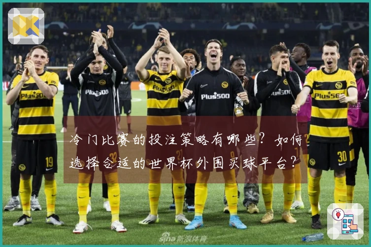 冷门比赛的投注策略有哪些?如何选择合适的世界杯外围买球平台?