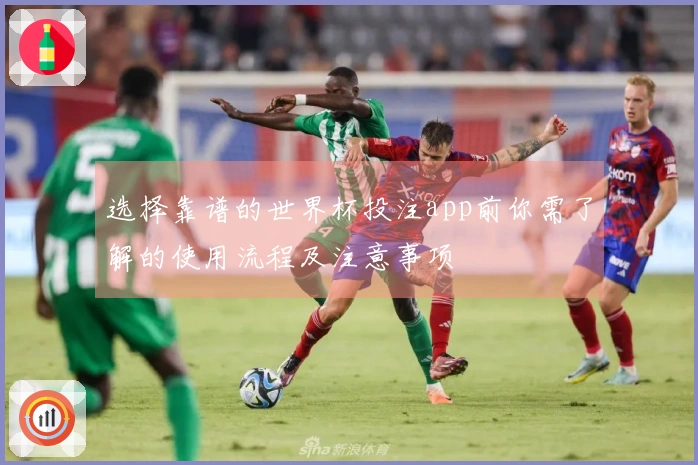 选择靠谱的世界杯投注app前你需了解的使用流程及注意事项