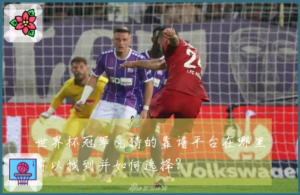 世界杯冠军竞猜的靠谱平台在哪里可以找到并如何选择？